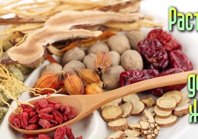 能让人昏迷2小时的药