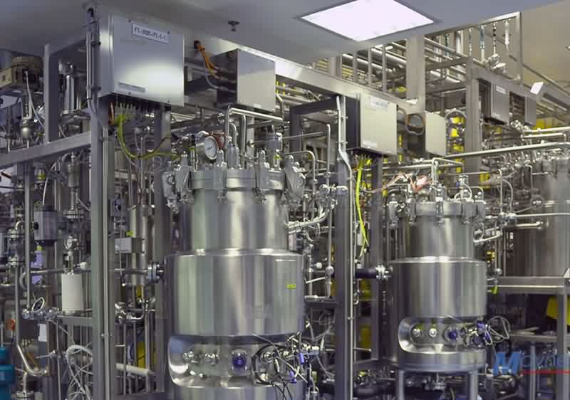 春药网上在那买