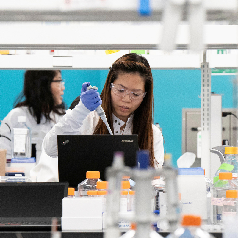 桃花劫春药商城