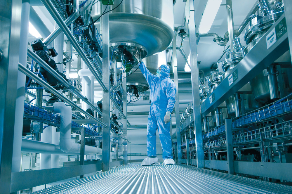 苍蝇粉真实效果